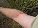 photo thumbnail #7