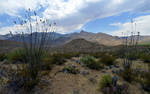 photo thumbnail #3