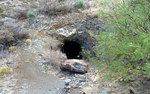 photo thumbnail #12