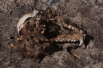 photo thumbnail #12