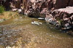 photo thumbnail #13