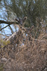photo thumbnail #15