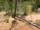 photo thumbnail #4