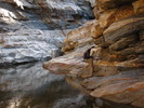 photo thumbnail #5