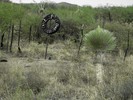 photo thumbnail #2