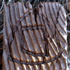 photo thumbnail #5