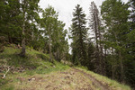 photo thumbnail #8