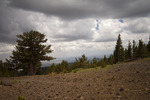 photo thumbnail #15