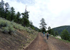 photo thumbnail #11