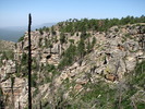 photo thumbnail #14