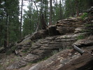 photo thumbnail #12