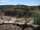 photo thumbnail #6