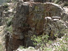 photo thumbnail #8