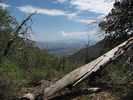 photo thumbnail #12