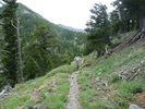 photo thumbnail #7