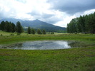 photo thumbnail #6