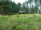 photo thumbnail #7