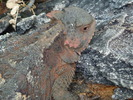 photo thumbnail #15