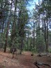 photo thumbnail #10