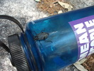 photo thumbnail #1