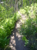 photo thumbnail #7
