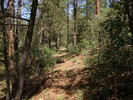 photo thumbnail #6