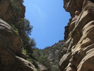 photo thumbnail #13