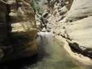 photo thumbnail #14