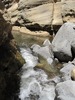 photo thumbnail #15