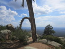 photo thumbnail #8