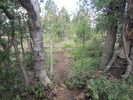 photo thumbnail #5