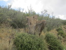 photo thumbnail #7