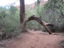 photo thumbnail #3