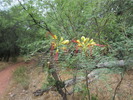 photo thumbnail #4