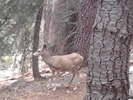 photo thumbnail #4
