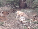 photo thumbnail #13