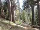 photo thumbnail #15