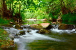 photo thumbnail #4