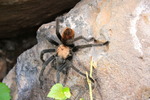 photo thumbnail #5