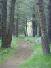 photo thumbnail #11