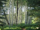 photo thumbnail #12