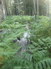 photo thumbnail #14