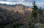 photo thumbnail #5