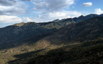photo thumbnail #8