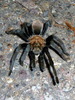 photo thumbnail #13