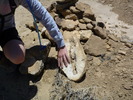 photo thumbnail #11