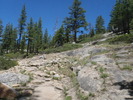 photo thumbnail #6
