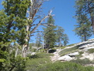 photo thumbnail #10