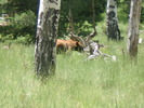 photo thumbnail #3