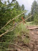 photo thumbnail #13